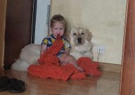 img (4)